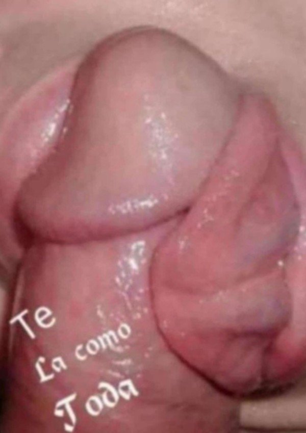 Novedad rubia caliente completa viciosa fiestera amante de las mamadas